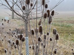 Februar_2023_Wanderung