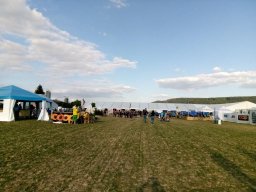 turnfest-remigen_2018